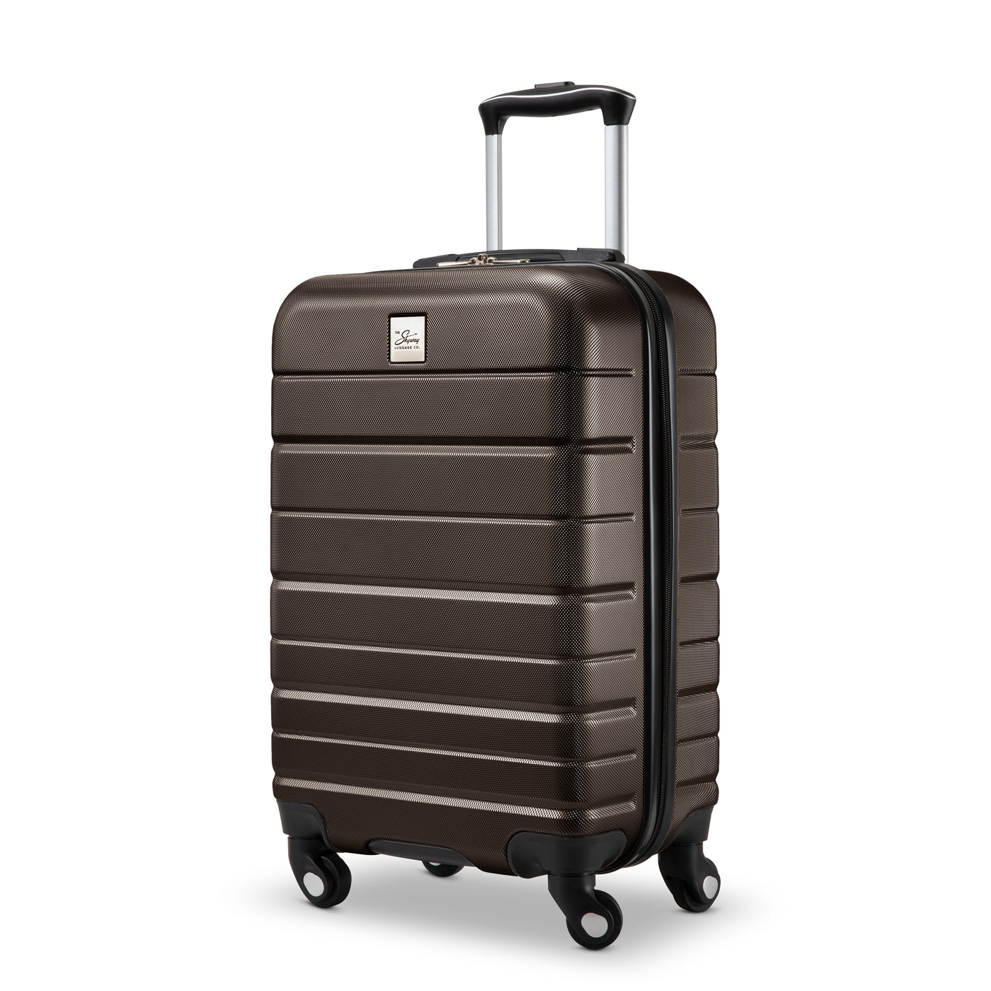 Epic 20-inch Carry-On Spinner Suitcase | Skyway Luggage